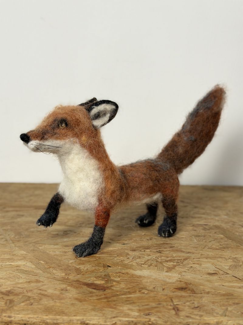 Raposa